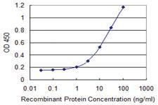 Anti-FBN1 Mouse Monoclonal Antibody [clone: 3H6]