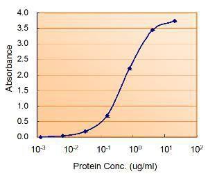 Anti-COMT antibody