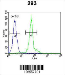 Anti-IFT172 Rabbit Polyclonal Antibody (HRP (Horseradish Peroxidase))