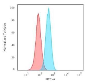 Anti-PCNA Mouse Monoclonal Antibody [clone: PC10]