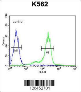 Anti-ZNF572 Rabbit Polyclonal Antibody (APC (Allophycocyanin))