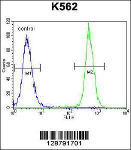 Anti-KRT25 Rabbit Polyclonal Antibody (APC (Allophycocyanin))