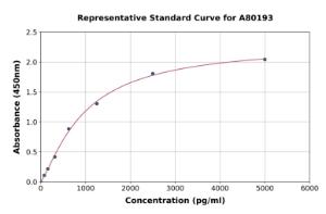 Representative standard curve for Rat p53 ELISA kit (A80193)