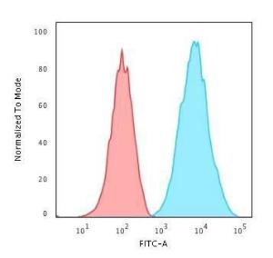 Flow cytometric analysis of human Raji cells using Anti-HLA DRB Antibody [SPM288] followed by Goat Anti-Mouse IgG (CF&#174; 488) (Blue). Isotype Control (Red).