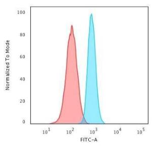 Flow cytometric analysis of PFA fixed HeLa cells using Anti-PCNA Antibody [PCNA/694] followed by Goat Anti-Mouse IgG (CF&#174; 488) (Blue). Isotype Control (Red)