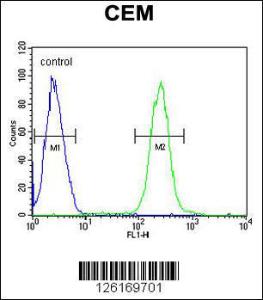 Anti-ATP6V0A4 Rabbit Polyclonal Antibody (APC (Allophycocyanin))