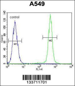 Anti-IGF1 Rabbit Polyclonal Antibody (AP (Alkaline Phosphatase))