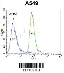 Anti-ALOX12B Rabbit Polyclonal Antibody