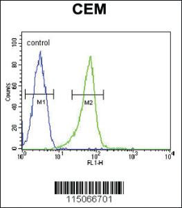 Anti-NMRK2 Rabbit Polyclonal Antibody