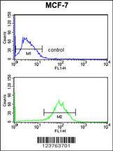 Anti-DSTN Rabbit Polyclonal Antibody (APC (Allophycocyanin))