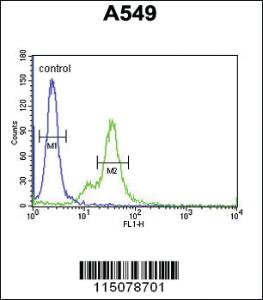 Anti-M6PR Rabbit Polyclonal Antibody