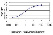 Anti-NEUROD1 Mouse Monoclonal Antibody [clone: 3H8]