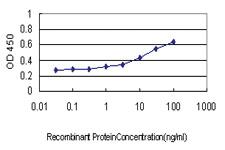 Anti-TTN Mouse Monoclonal Antibody [clone: 8G9]