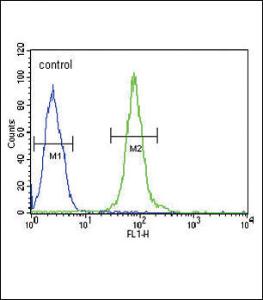 Anti-14-3-3 gamma Rabbit Polyclonal Antibody (FITC (Fluorescein Isothiocyanate))