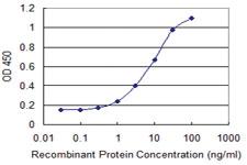 Anti-IL31RA Mouse Monoclonal Antibody [clone: 3C9]