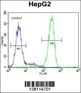 Anti-LRC40 Rabbit Polyclonal Antibody (APC (Allophycocyanin))