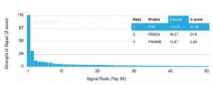 Analysis of protein array containing more than 19,000 full-length human proteins using Anti-Prohibitin Antibody [PHB/3227] Z-Score and S- Score