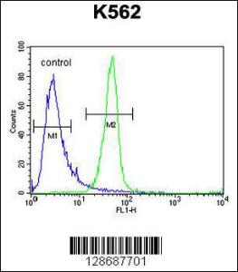 Anti-ANKRD52 Rabbit Polyclonal Antibody (FITC (Fluorescein Isothiocyanate))