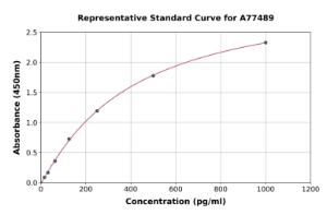 Representative standard curve for Rat VEGFB ELISA kit (A77489)