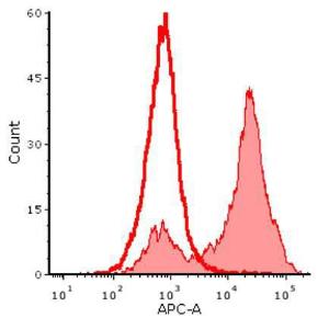 Anti-GST goat polyclonal antibody (APC (Allophycocyanin))