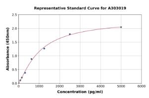 Representative standard curve for Human ADAM15 ELISA kit (A303019)