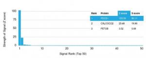 Analysis of protein array containing more than 19000 full-length human proteins using Anti-PD1 Antibody [PDCD1/2720]