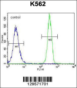 Anti-FBRSL1 Rabbit Polyclonal Antibody