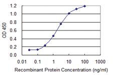 Anti-UTRN Mouse Monoclonal Antibody [clone: 5G6]