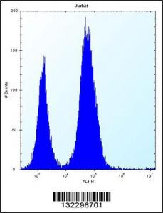 Anti-CTDNEP1 Rabbit Polyclonal Antibody (Biotin)