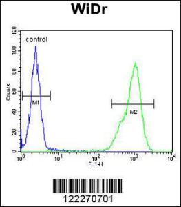 Anti-TPPP3 Rabbit Polyclonal Antibody (PE (Phycoerythrin))