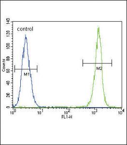 Anti-ACTA1 Mouse Monoclonal Antibody (APC (Allophycocyanin)) [clone: 337CT30.10.1]