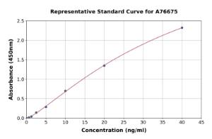 Representative standard curve for Human HDAC8 ELISA kit (A76675)