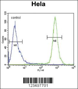 Anti-TRAPPC3 Rabbit Polyclonal Antibody