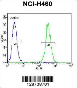 Anti-LRRC38 Rabbit Polyclonal Antibody (AP (Alkaline Phosphatase))