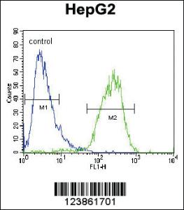 Anti-CHPT1 Rabbit Polyclonal Antibody