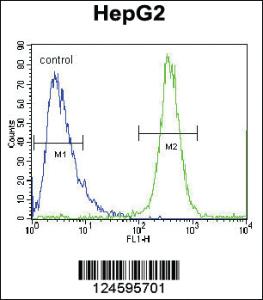 Anti-FBXO2 Rabbit Polyclonal Antibody