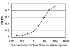 Anti-NEUROG1 Mouse Monoclonal Antibody [clone: 4G10]