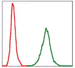 Anti-NEFL Mouse Monoclonal Antibody [clone: 1H3]