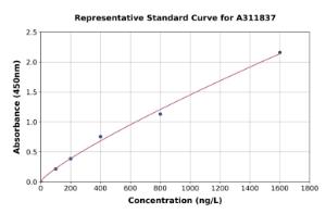 Representative standard curve for Human MTTP / MTP ELISA kit (A311837)