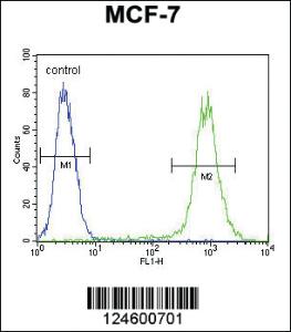 Anti-FGF9 Rabbit Polyclonal Antibody