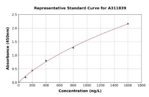 Representative standard curve for Mouse Hnrnpa3 ELISA kit (A311839)