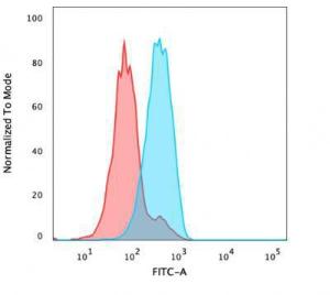 Flow cytometric analysis of PFA fixed MCF-7 cells using Anti-FOXA1 Antibody [FOXA1/1241] followed by Goat Anti-Mouse IgG (CF and #174; 488) (Blue). Isotype Control (Red)