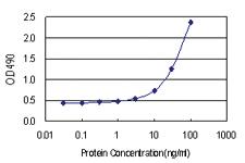 Anti-DNMT3L Polyclonal Antibody Pair