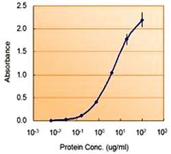 Anti-NODAL Goat Polyclonal Antibody