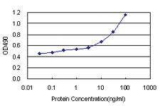 Anti-PSAP Antibody Pair