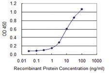 Anti-UVRAG Mouse Monoclonal Antibody [clone: 2E8]