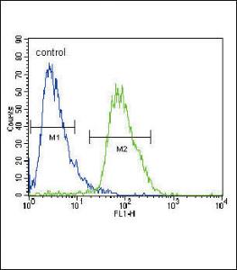 Anti-CACNA2D3 Rabbit Polyclonal Antibody (Biotin)