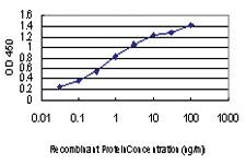 Anti-TTN Mouse Monoclonal Antibody [clone: 7D3]