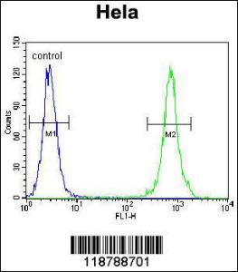 Anti-TRADD Rabbit Polyclonal Antibody (APC (Allophycocyanin))