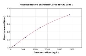 Representative standard curve for Human NIPP1 ELISA kit (A311851)